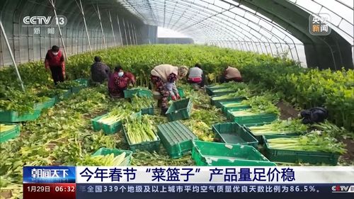 農業技術開發助力菜籃子產品量足價穩，農業農村部力保春節供應