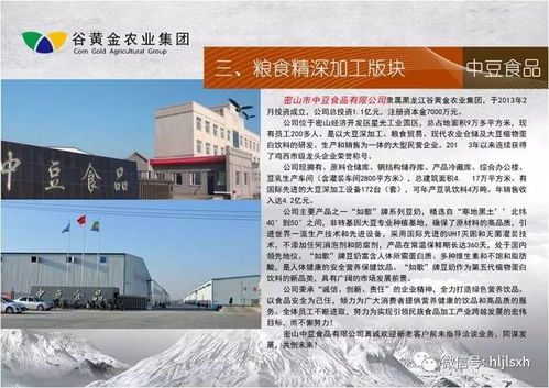 賦能現代農業，谷黃金農業集團引領農業技術開發新篇章