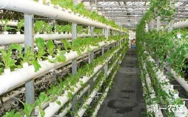 山東昌邑 農業綜合開發項目助推育苗產業轉型升級